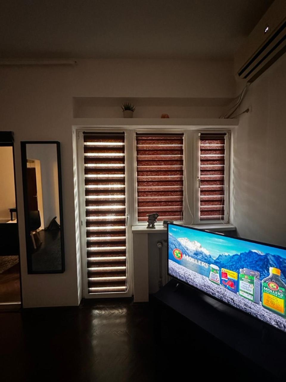Conta Apartment 부쿠레슈티 외부 사진